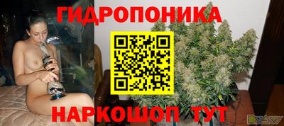 молекула духа Усть-Джегута