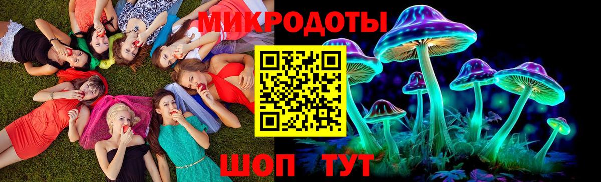 Псилоцибиновые грибы Cubensis Юрга