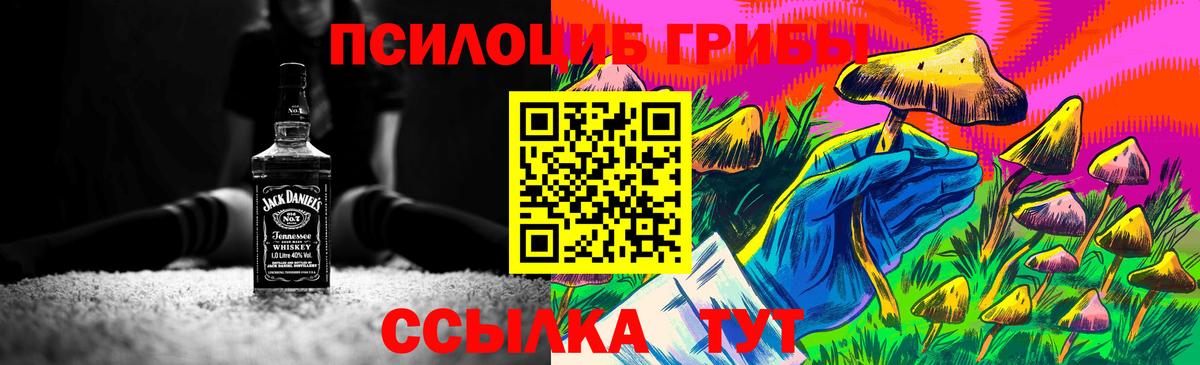 Юрга  Галлюциногенные грибы прущие грибы  Вход с VPN  купить закладку  Псилоцибиновые грибы Psilocybe 